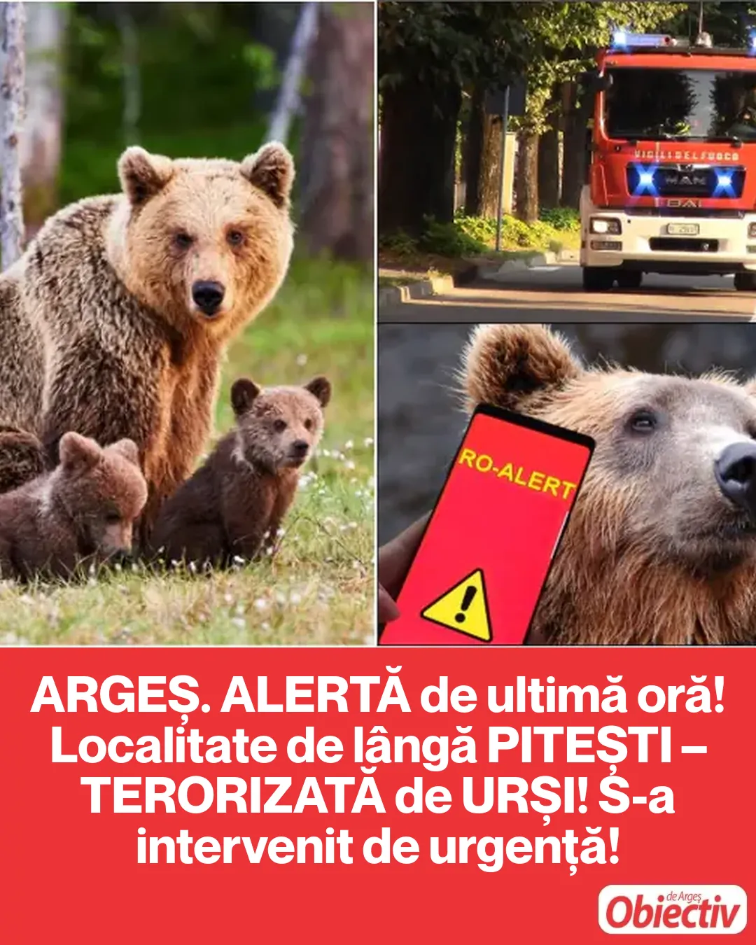 Alertă de ultimă oră în Argeș! 11 localități sunt sub asediu: „Nu ieșiți din case, pericolul este uriaș!”