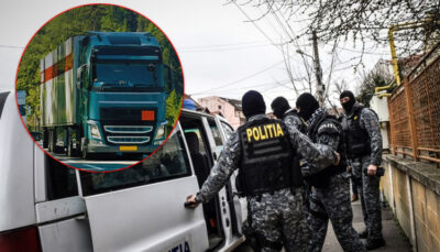 perchezitii transportatori