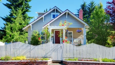 romanii care stau la casa si au curte