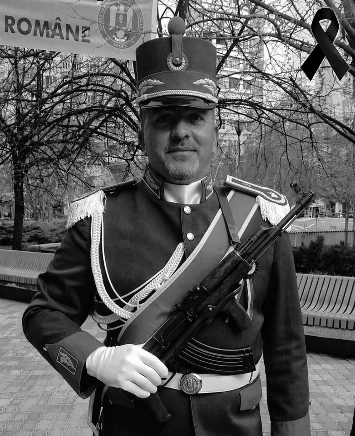 677926038 1290251496542406 4775848886655585965 n