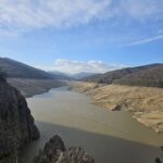 683208080 1414354917386810 847998336567343802 n