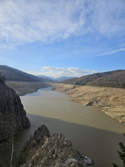 683208080 1414354917386810 847998336567343802 n