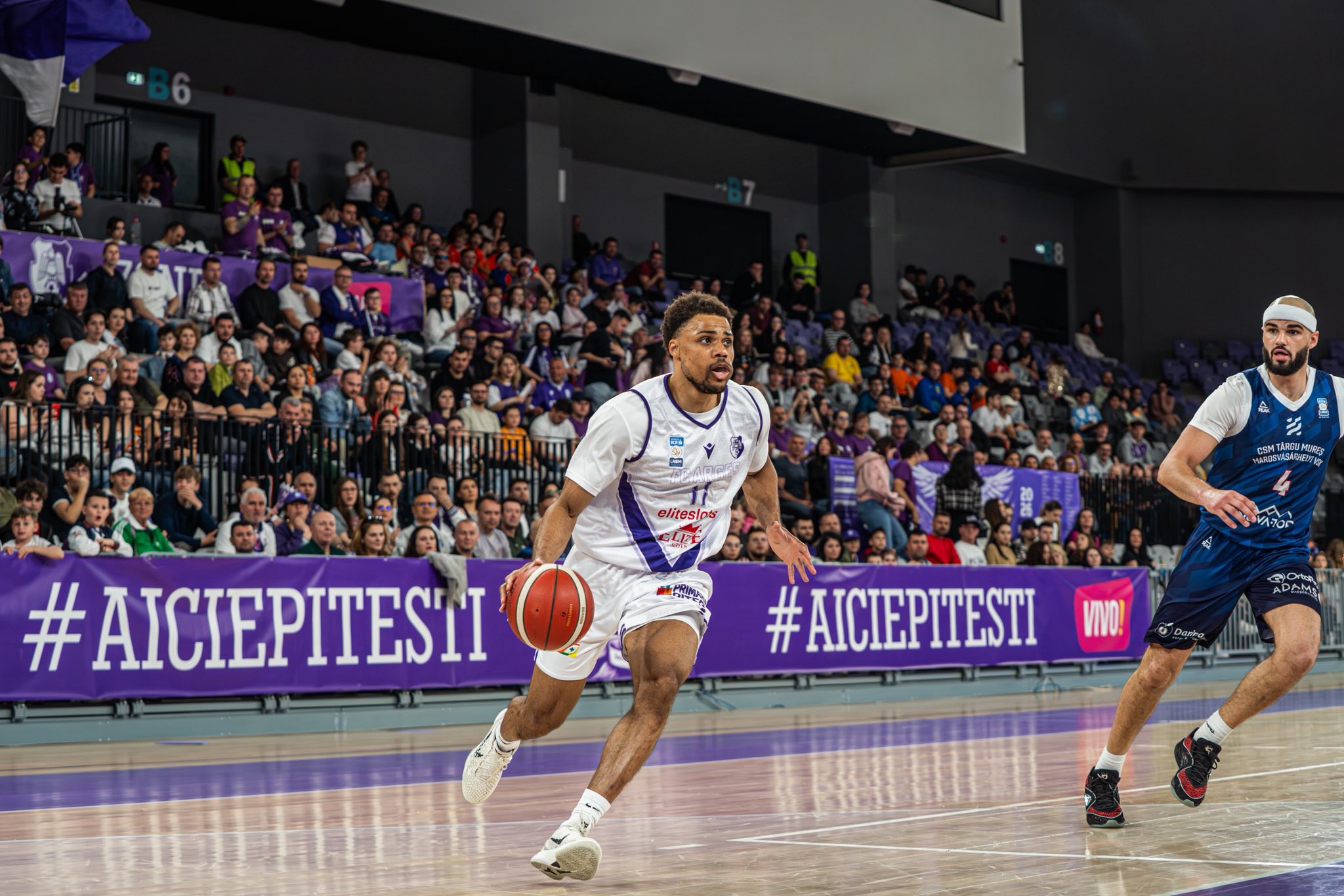 De neratat! Mâine, FC Argeș Basketball joacă acasă în sferturile de finală ale campionatului!