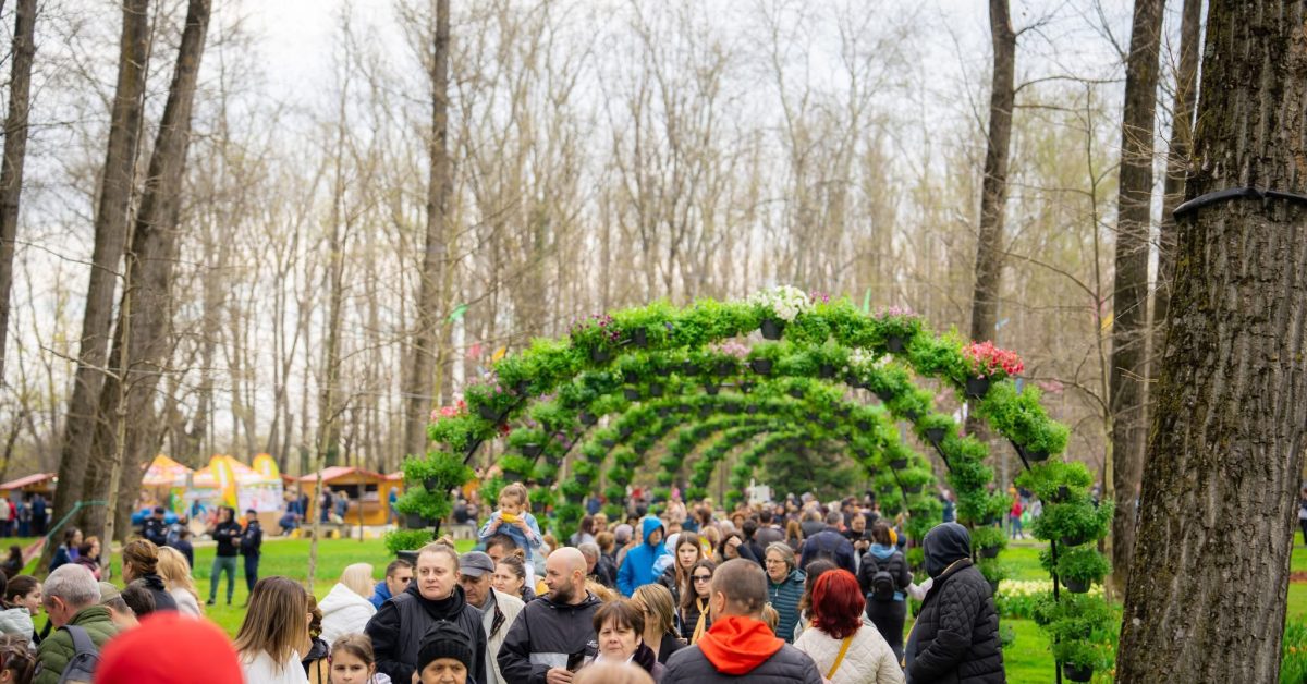 Simfonia lalelelor 5 1200x628 cropped