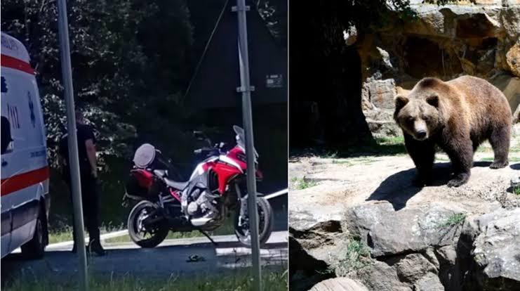 WhatsApp Image 2026 04 18 at 17.11.31