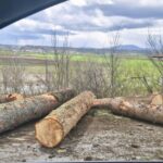 a09a159e f4d0 4b99 8b4a 353fb4d43485 censored 800x431