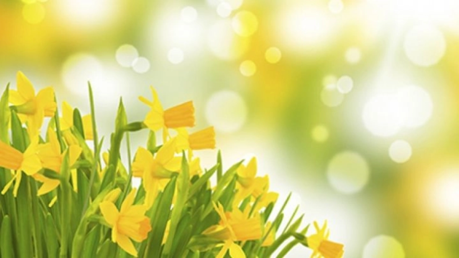 media 152253223332474200.webp