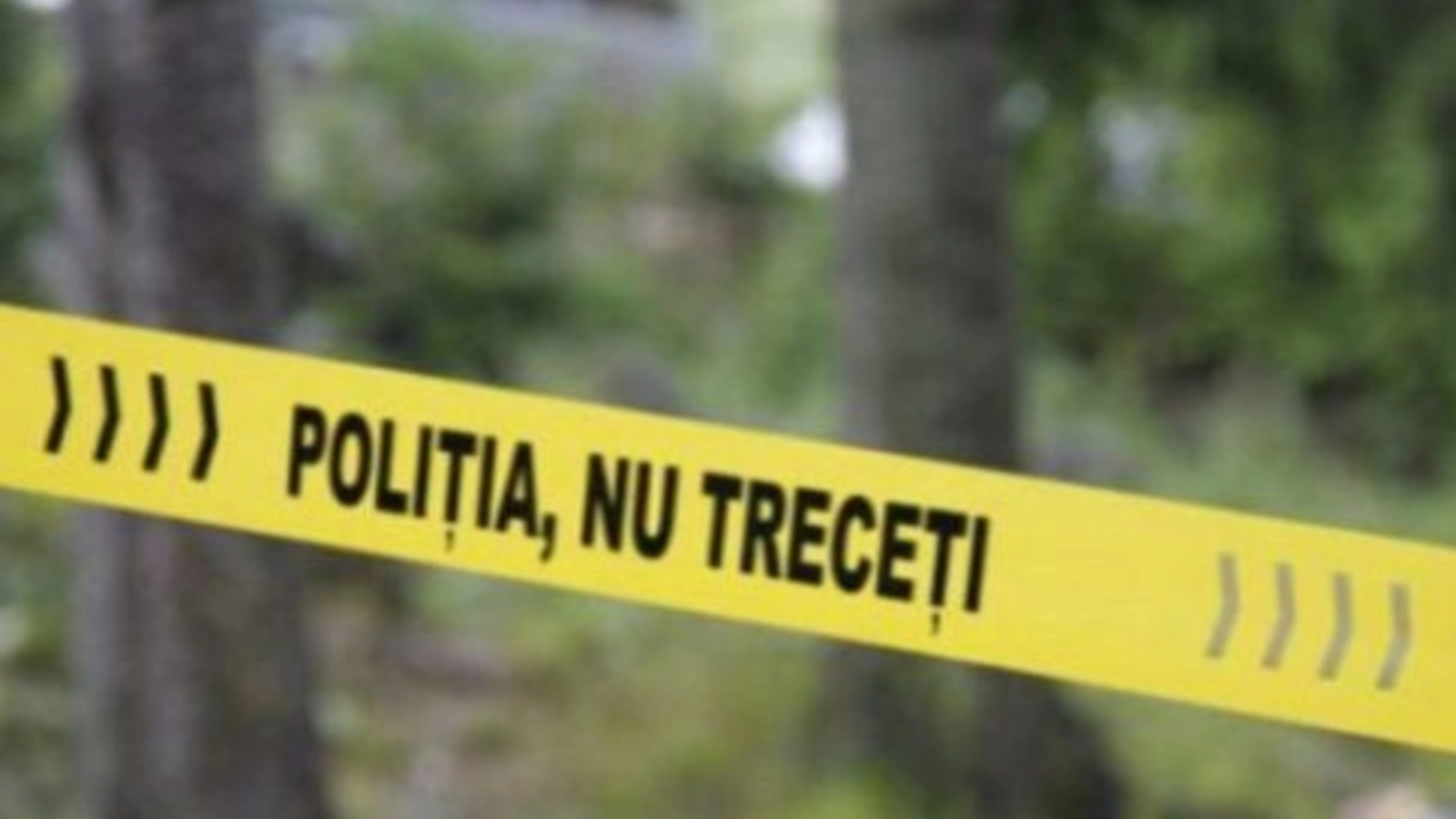 media 171887370257579900.webp