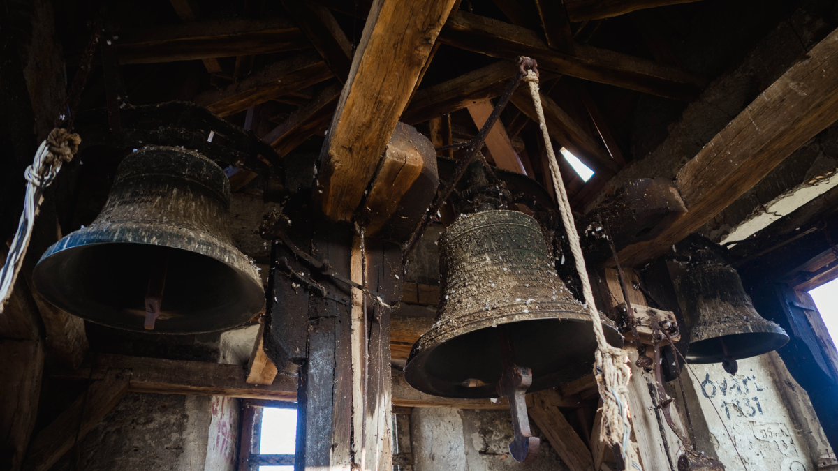 media 172753054491048800