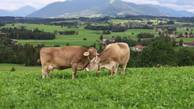 Controverse uriașe: se interzice pășunatul în România? Ministerul Mediului reacționează dur!