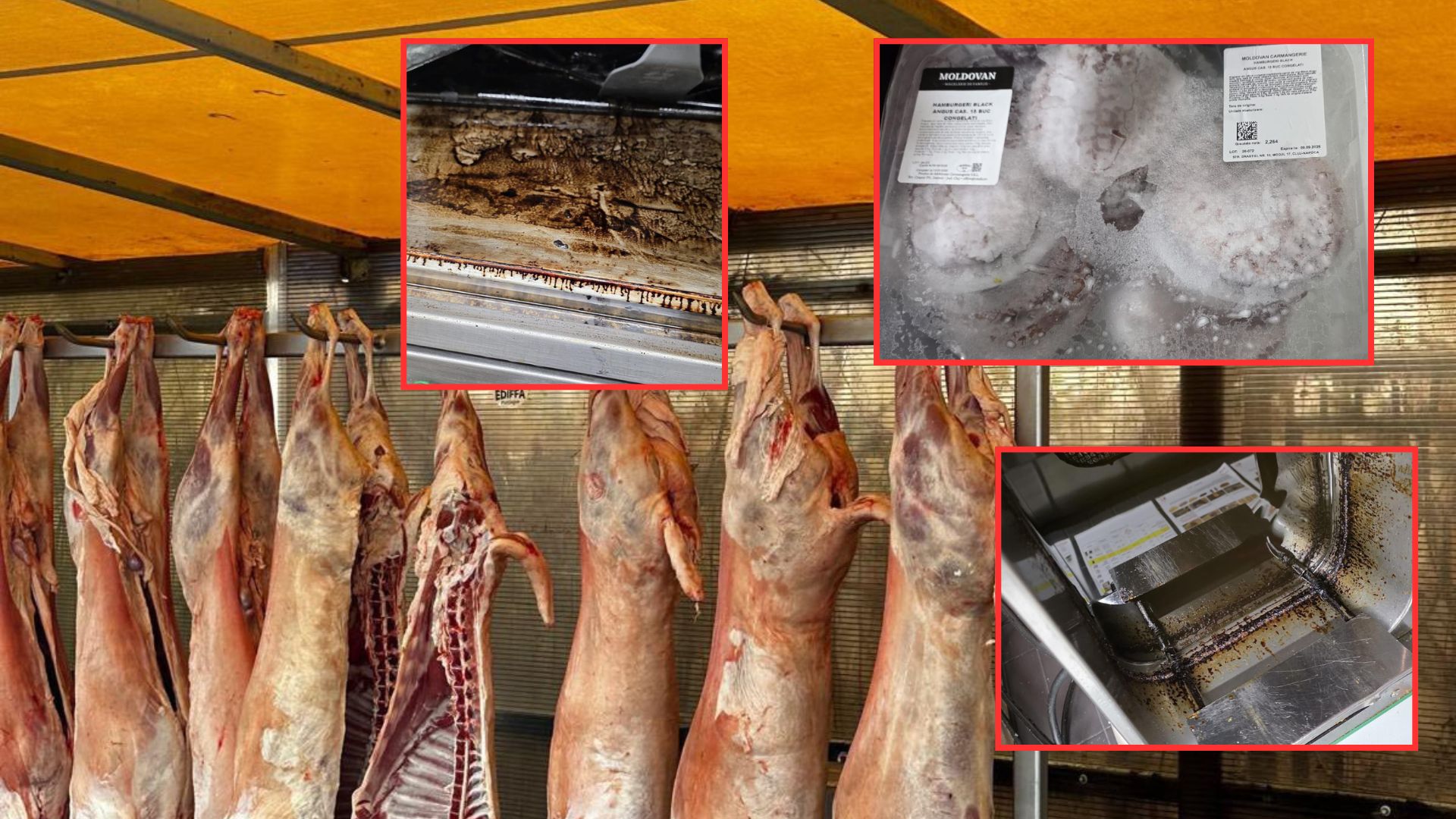 x 2026 04 04T130517.861