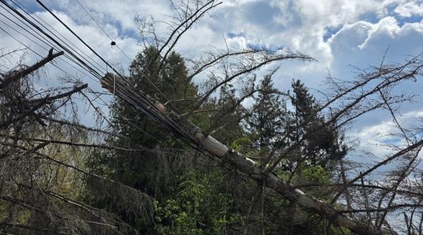 Prăpăd în România! Acoperișuri luate de vânt și zeci de localități în beznă. Dezastrul a lovit 14 județe deodată