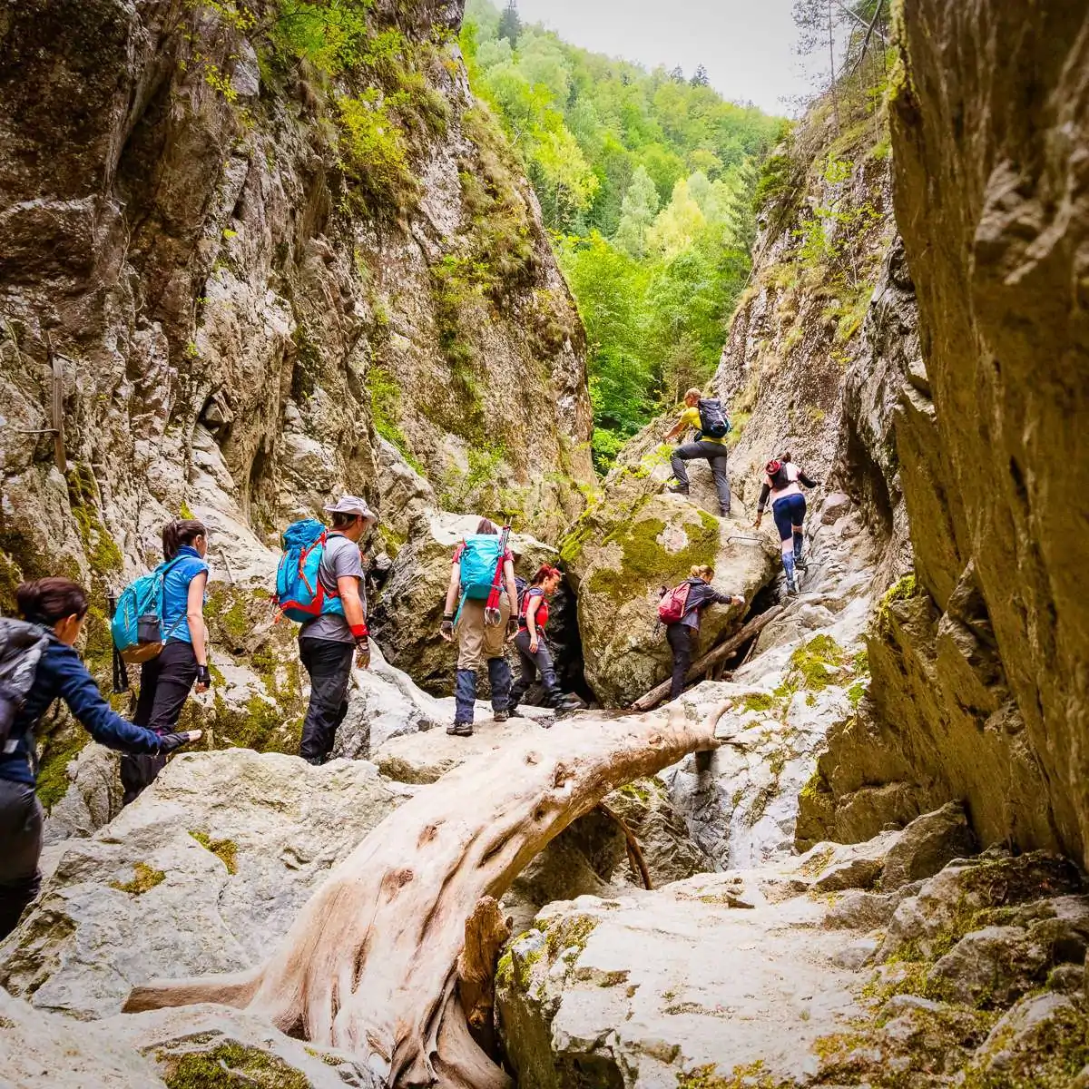 Doi turiști au fost salvați după ore de panică în Munții Făgăraș!Au intrat în Canionul Valea lui Stan fără lanterne și cu teniși în picioare!