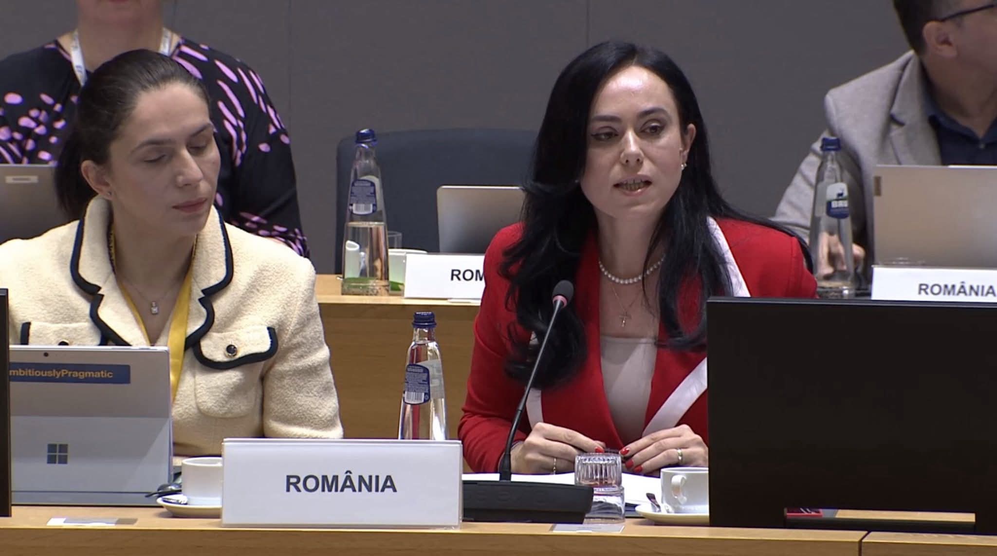 Simona Bucura-Oprescu: „PSD a construit drumul european al României”