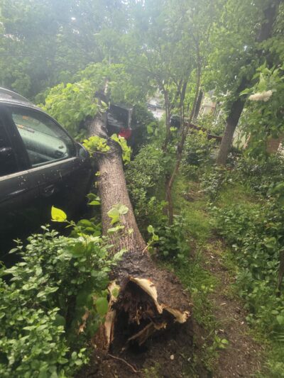 Dezastru în Pitești! Codul galben a făcut prăpăd: Mașini distruse și străzi blocate de furia naturii!