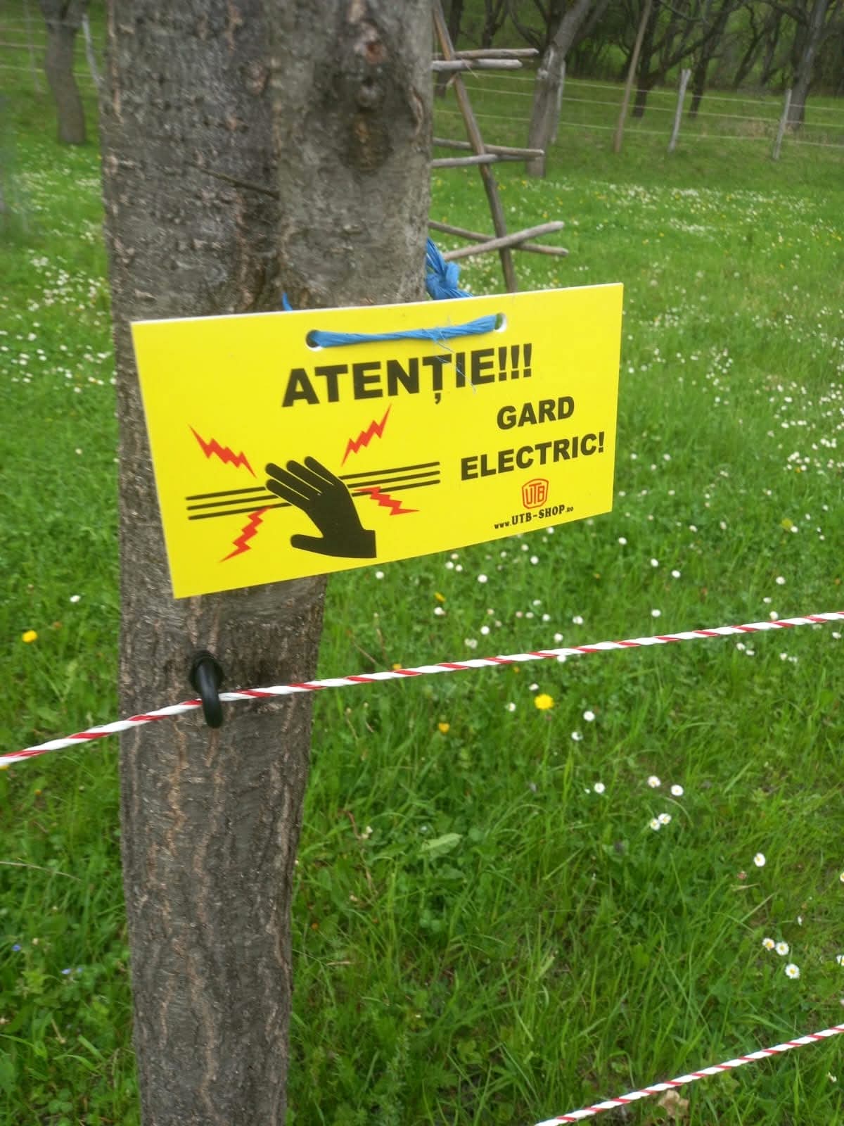 Adio, teroare în Argeș! Metoda incredibilă prin care acești localnici au alungat urșii și lupii fără să tragă un singur foc de armă
