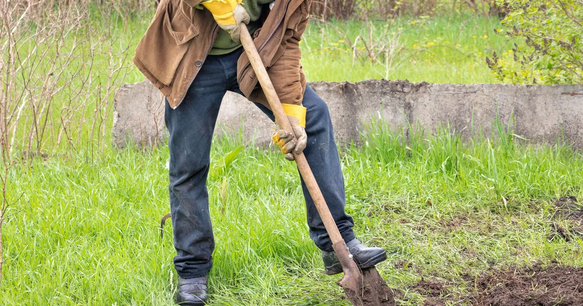 Amendă de 5.000 lei pentru românii de la casă! Greșeala din curte care te lasă fără bani dacă ai fântână și fosă
