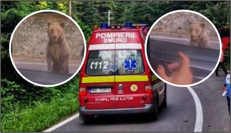 Argeș. Cum s-a petrecut TRAGEDIA de la Vidraru! BĂRBAT atacat de urs! IMAGINI EXCLUSIVE! 