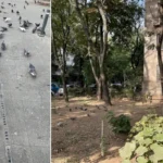 Te costă 1.000 de lei dacă faci acest gest banal pe stradă! Decizia radicală luată de autorități chiar acum!!!