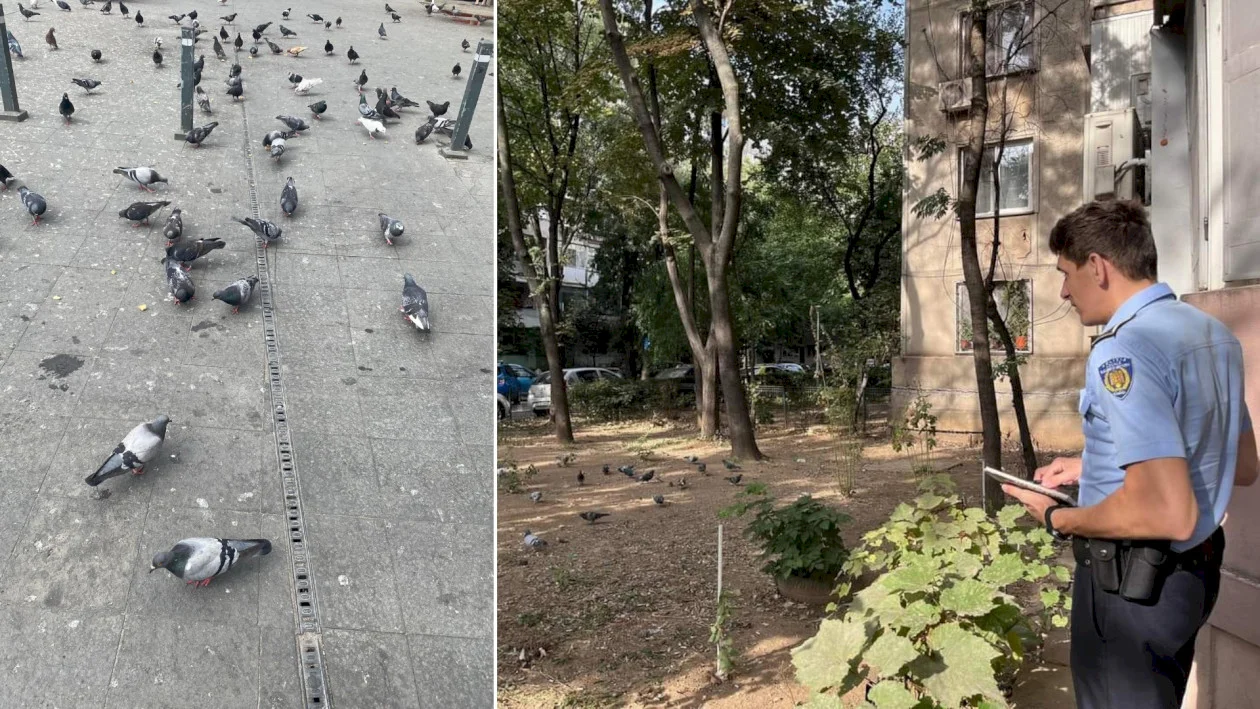 Te costă 1.000 de lei dacă faci acest gest banal pe stradă! Decizia radicală luată de autorități chiar acum!!!