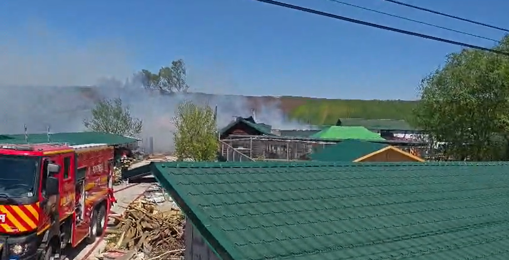 Tragedie! Canguri și lame salvați de pompieri, însă un ligru rar a pierit în flăcări. Imagini dramatice!