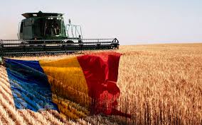 Paradoxul incredibil din farfuriile românilor: Suntem campioni la producție, dar mâncăm aproape tot din import!
