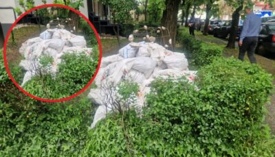 A crezut că scapă, dar a plătit scump! Gestul făcut de un piteștean pe Calea București care i-a scos imediat banii din buzunar!