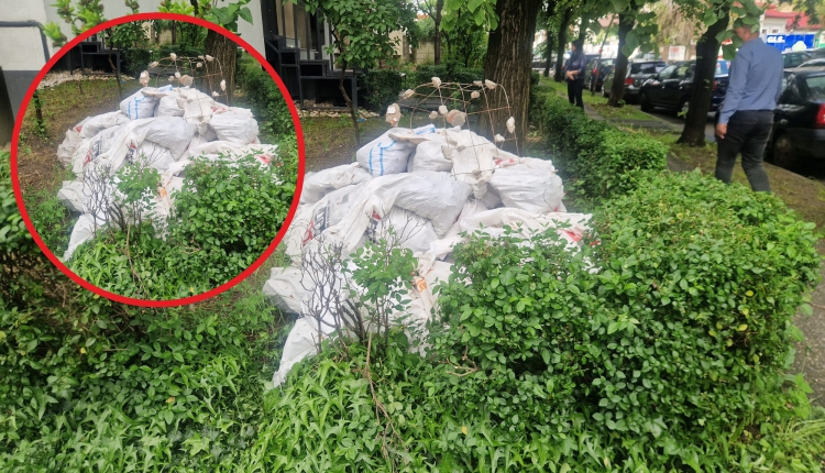 A crezut că scapă, dar a plătit scump! Gestul făcut de un piteștean pe Calea București care i-a scos imediat banii din buzunar!