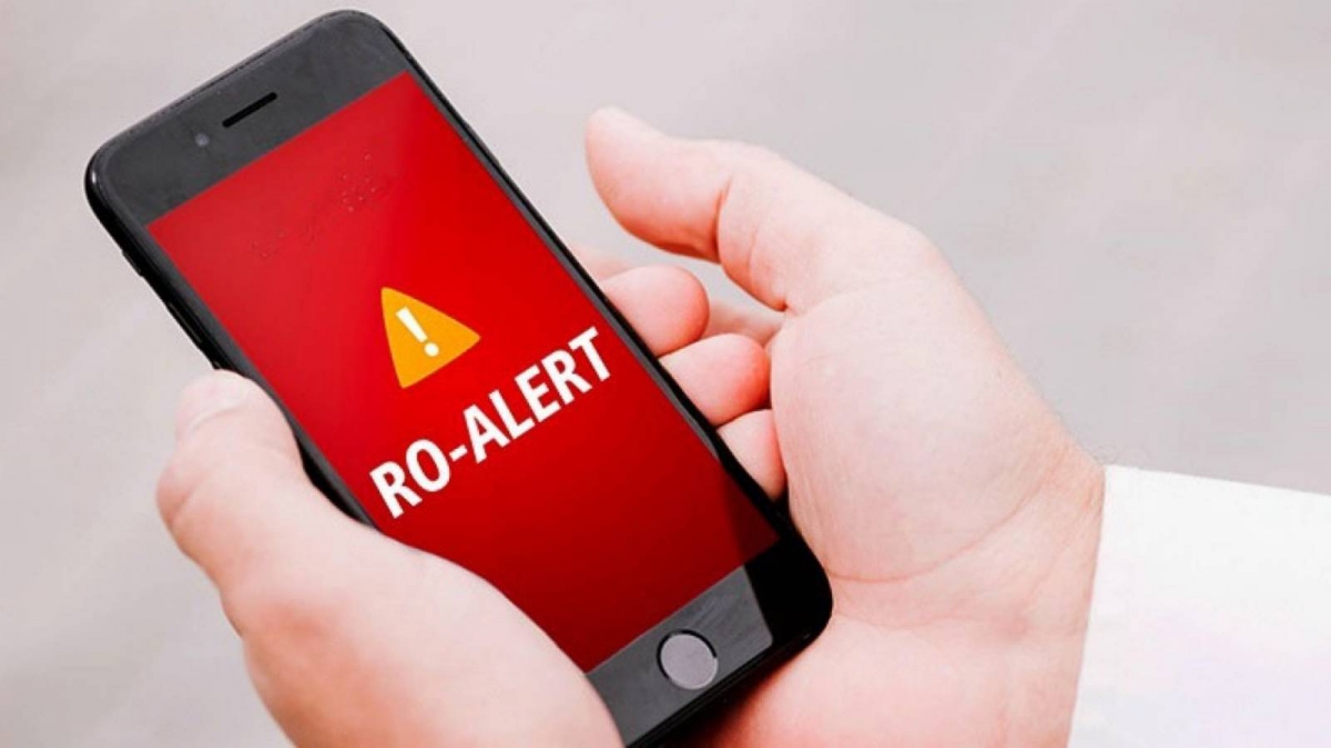 Alertă la Arefu: Prezența unor urși, semnalată în zona Cetății Poienari. Autoritățile recomandă evitarea zonei
