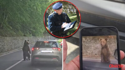Ultimă oră! Turistul bulgar rănit de URS pe Transfăgărășan a fost AMENDAT de jandarmii argeșeni! SANCȚIUNE DURĂ!