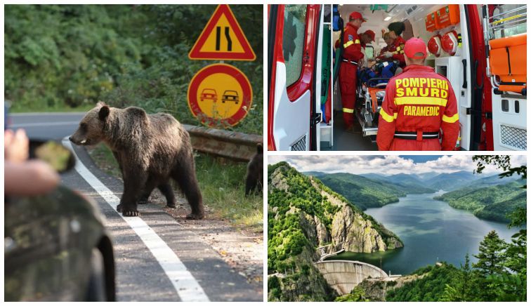 Exclusiv! Cine este turistul MUȘCAT de URS la VIDRARU? A fost dus de urgență la spital!