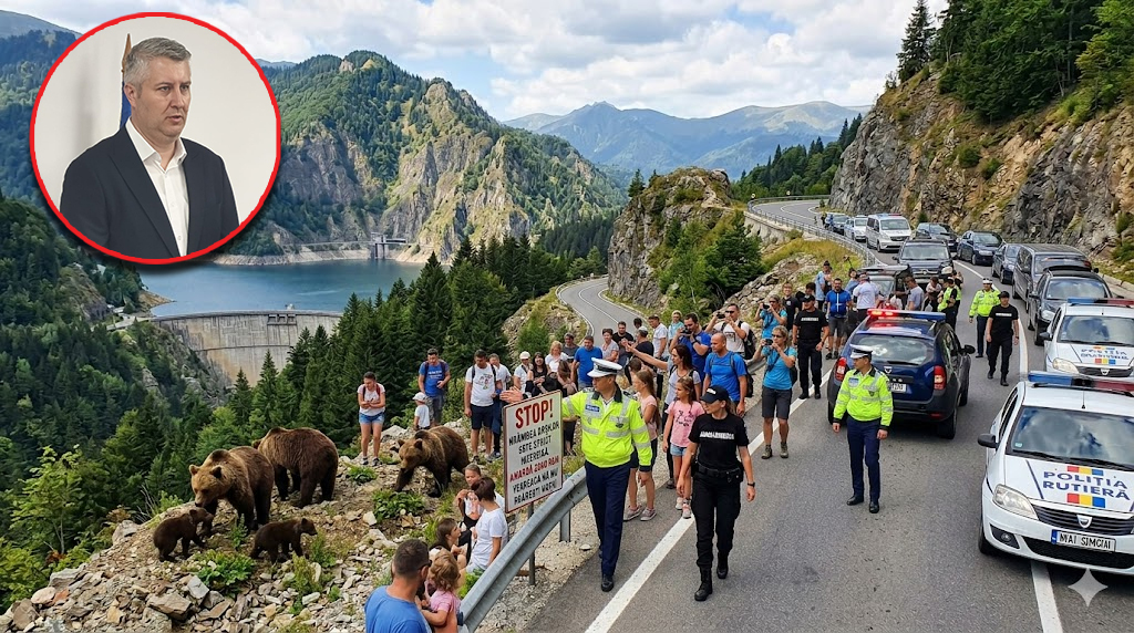 EXCLUSIV! Prefectul Nedelcu, DECIZIE tranșantă după atacul ursoaicei pe Transfăgărășan! ORDIN emis AZI!