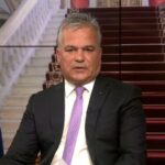 BOMBĂ pe scena politică! Adrian Veștea a anunțat alianța care va șoca România: Cine sunt „greii” care vor conduce țara!