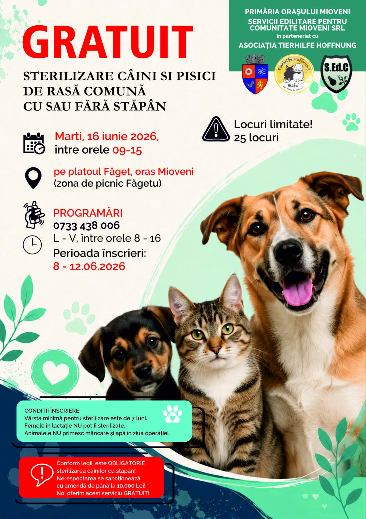 Veste uriașă pentru toți locuitorii din Mioveni! Ce se întâmplă marți, 16 iunie: Toți posesorii de câini și pisici trebuie să afle asta! 1 CAMPANIE STERILIZARE IUNIE 2026