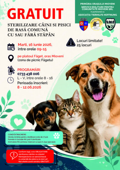 Veste uriașă pentru toți locuitorii din Mioveni! Ce se întâmplă marți, 16 iunie: Toți posesorii de câini și pisici trebuie să afle asta!