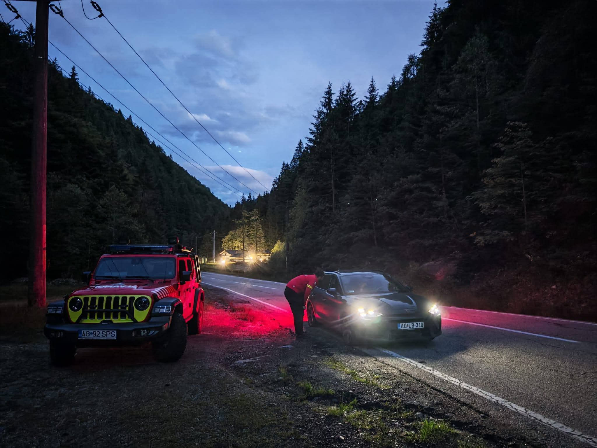 Teroare pe Transfăgărășan! O femeie însărcinată a trăit șocul vieții ei după ce s-a trezit cu ursul lângă mașina defectă