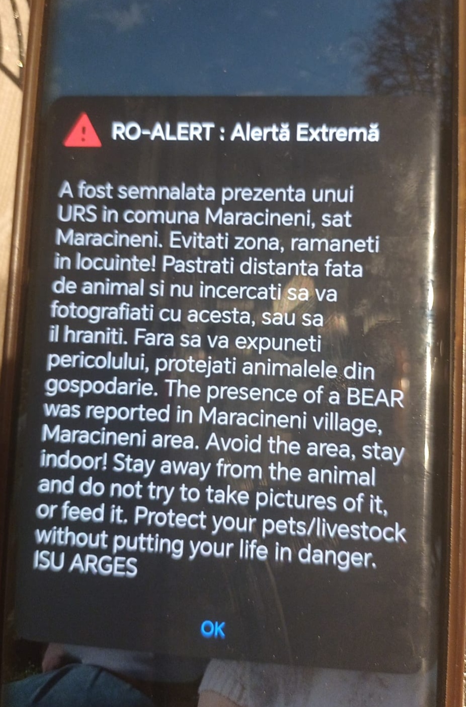 Atenționare RO-Alert în Mărăcineni după apariția unui urs în zonă!!!