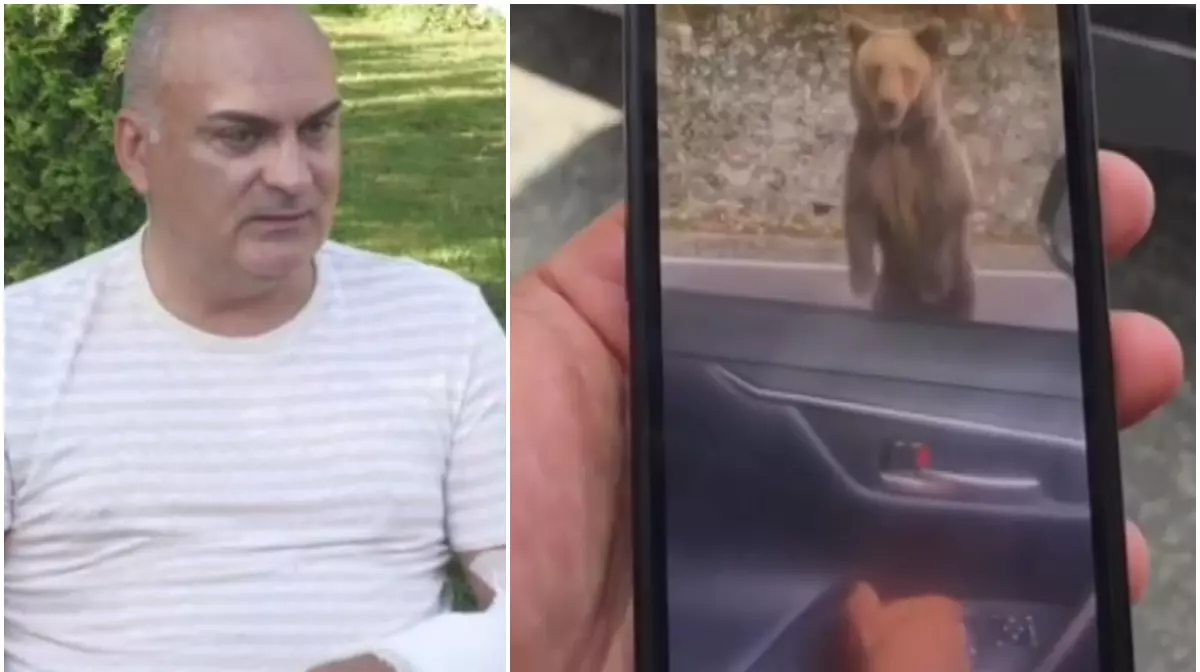 Ultima oră! Turistul bulgar atacat de urs pe Transfăgărășan a povestit tot! Declarații terifiante!