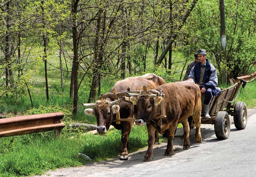 Lovitură totală pentru românii de la sat! Se schimbă legea: Ce se întâmplă cu gospodăriile lor și cum intră ANAF pe fir prin noul „Booking” rural