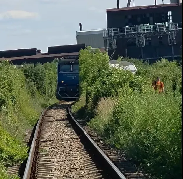 Imagini incredibile în România! Zeci de pasageri au abandonat trenul în mijlocul câmpului: Ce i-a obligat să recurgă la acest gest extrem pe ruta București-Târgoviște
