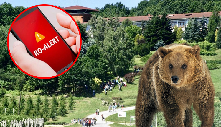 ACUM. Un URS a semănat TEROARE în curtea Institutului Pomicol din Mărăcineni. Autoritățile cer populației să rămână în locuințe!
