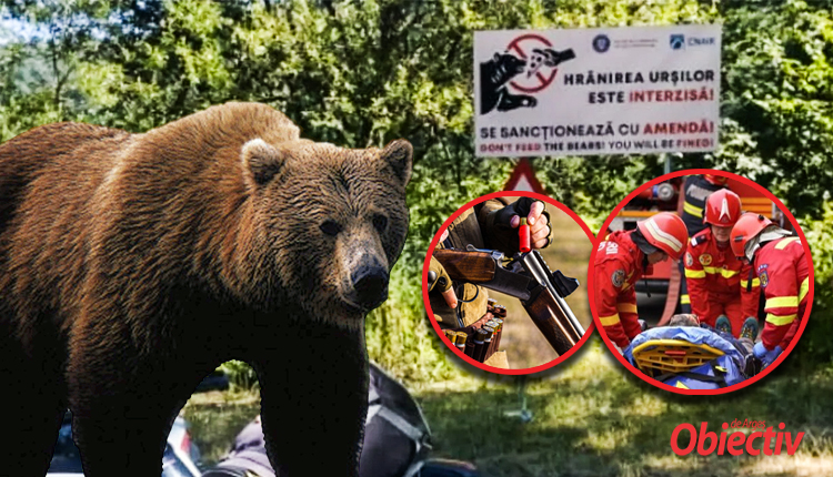 ALERTĂ! ALT TURIST atacat de URS la VIDRARU! Animalul a fost ÎMPUȘCAT!