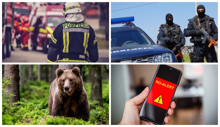 ALERTĂ în ARGEȘ! Animale UCISE de URȘI! Zeci de localități TERORIZATE! 