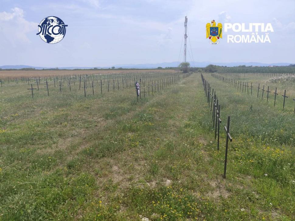 De necrezut: Cimitirul SECRET cu 400 de cruci și bătrâni sedați FORȚAT! Detaliile care au ÎNGROZIT România în dosarul „Azilele Groazei”