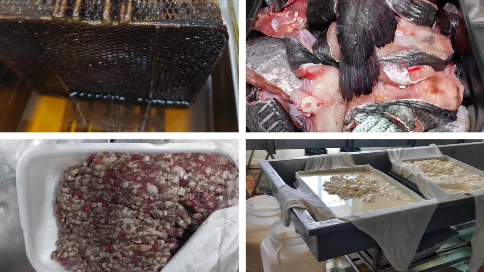 Alertă națională! Ce au găsit inspectorii ANPC în mâncare te va îngrozi: Carne cu mucegai și amenzi de milioane!