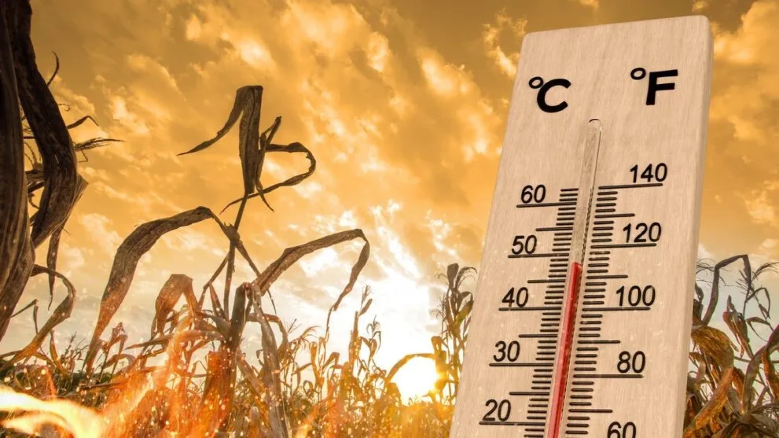 Adio, răcoare! Se schimbă vremea în iulie. Anunțul meteorologilor despre ce se întâmplă de la jumătatea lunii