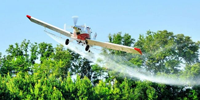 Dezinsecție aeriană în Bradu! Avionul va zbura la joasă altitudine. Avertisment important pentru apicultori și localnici!