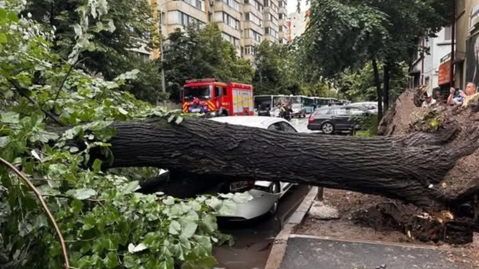 Ai mașina distrusă de furtună și nu ai CASCO? Iată cum poți obliga statul să îți plătească reparația!