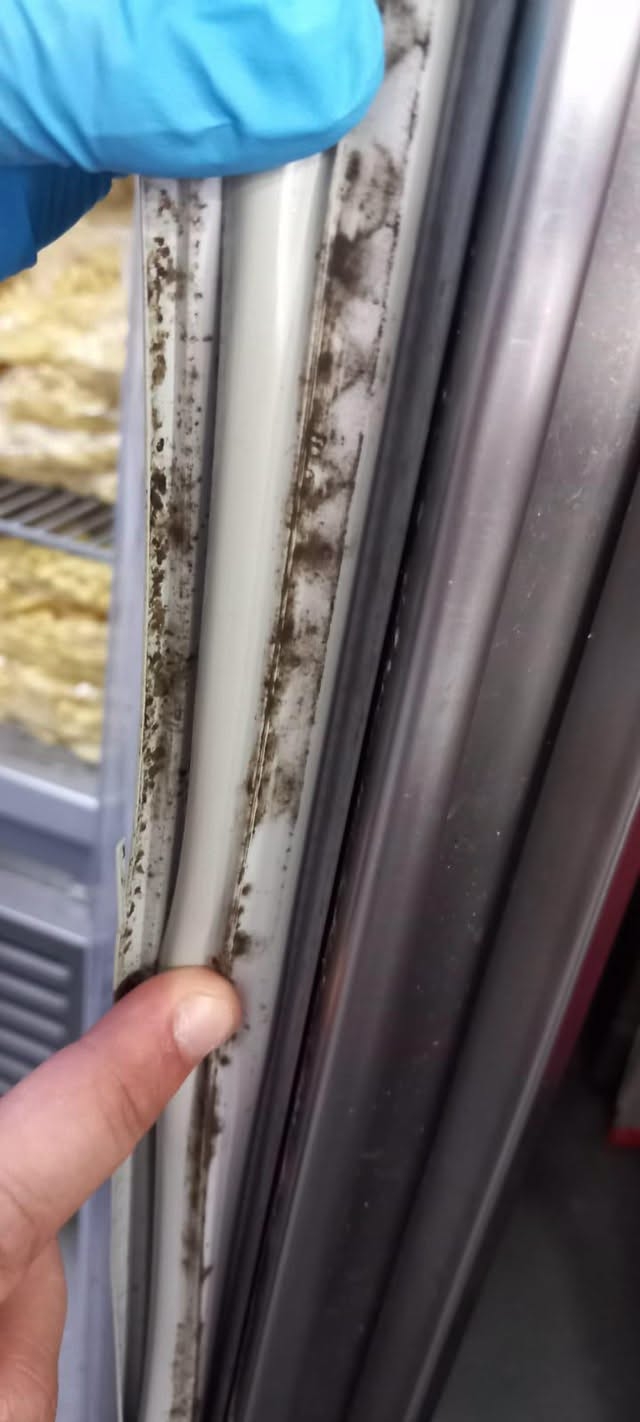 Dezastru pe litoral! Ce mănâncă turiștii, de fapt. Frigidere ruginite și mizerie în 15 localuri închise de ANPC!