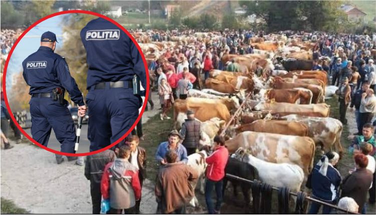 Descindere a POLIȚIEI în Târgul de la DOMNEȘTI! NEREGULI grave constatate! A intervenit PROTECȚIA ANIMALELOR!